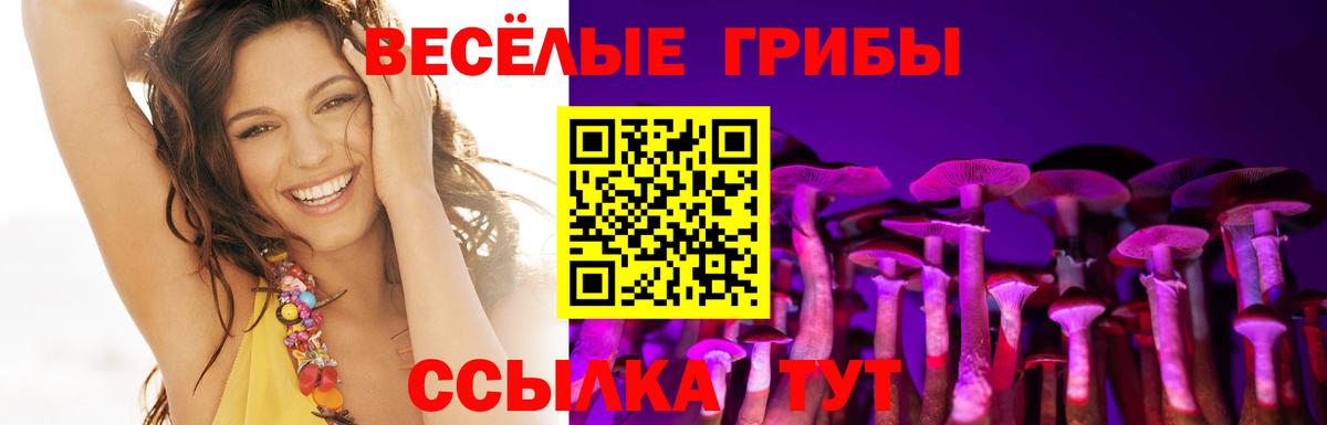 Когалым  Галлюциногенные грибы прущие грибы  Вход с VPN 